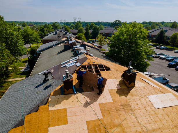 Best Storm Damage Roof Repair  in Fairfax, CA